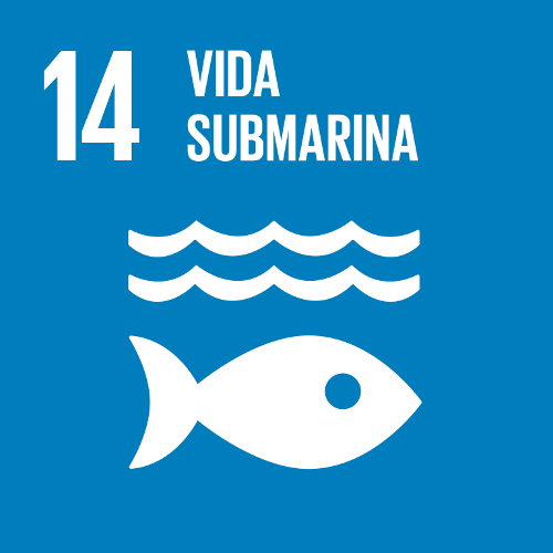 ODS 14. Vida Submarina