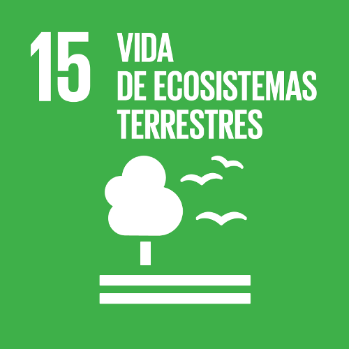 ODS 15. Vida de Ecosistemas Terrestres