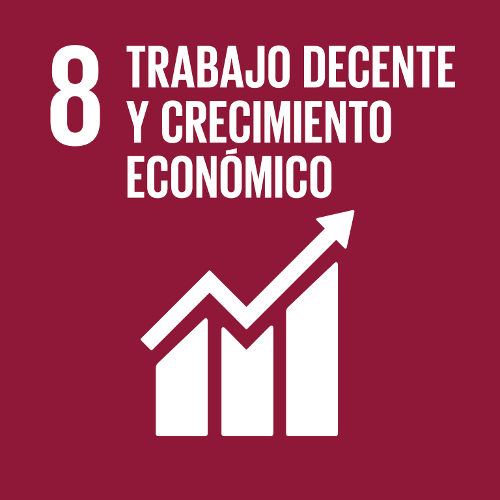 ODS 8. Trabajo Decente y Crecimiento Económico