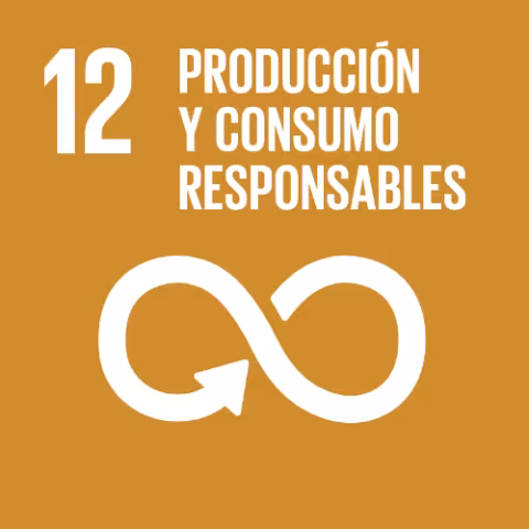 ODS 12: Producción y Consumo Responsables