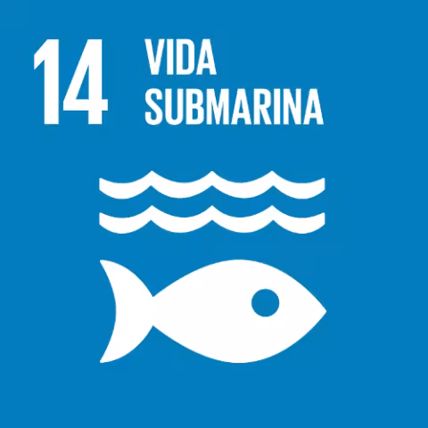 ODS 14: Vida Submarina