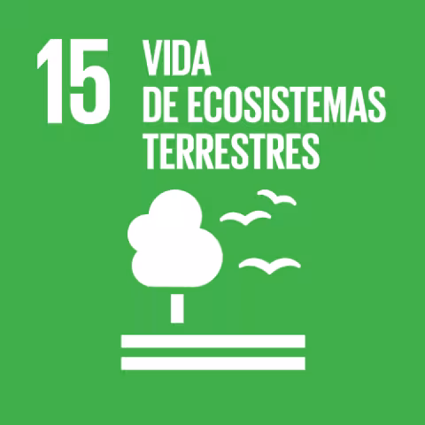 ODS 15: Vida de Ecosistemas Terrestres