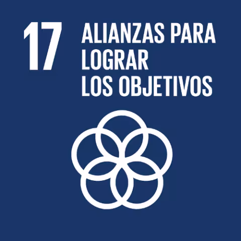 ODS 17: Alianzas para Lograr los Objetivos