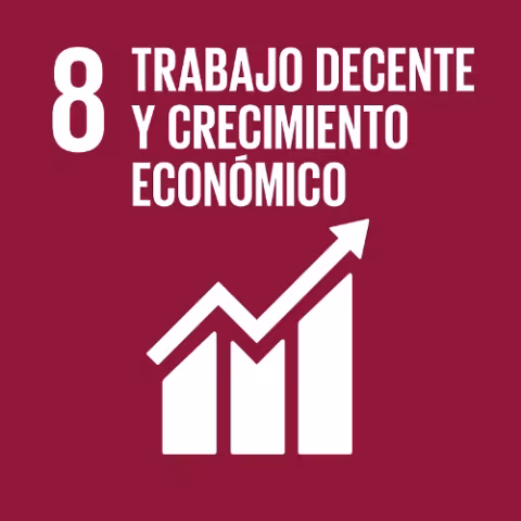 ODS 8: Trabajo Decente y Crecimiento Económico